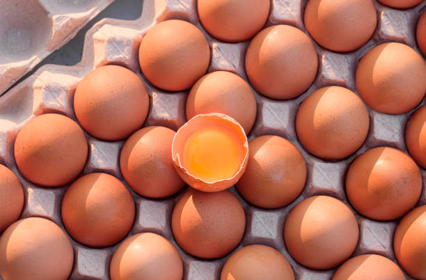 تخم مرغ محلی تازه با زرده غنی و طعم اصیل