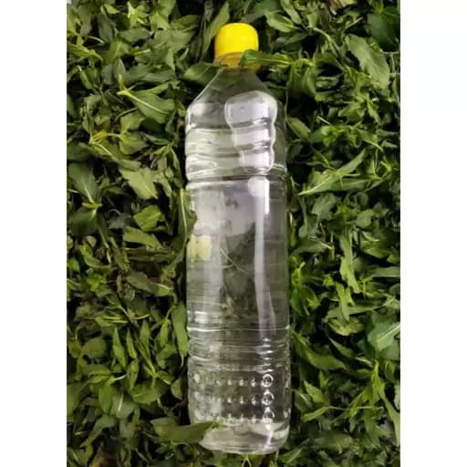 تصویر 3 از عرق نعنا دو آتیشه بسته‌ بندی‌ شده بهداشتی