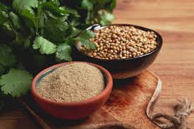 تصویر 3 از تخم گشنیز طبیعی سرشار از خواص تقویتی و انرژی زا
