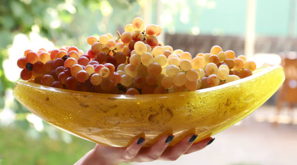 میوه خوری
