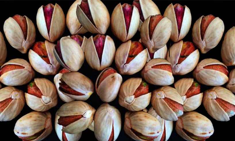 تصویر 4 از پسته اکبری خام درجه یک مناسب مصرف روزانه و رژیم غذایی سالم