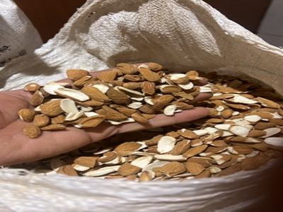 مغز بادام درختی شکسته + عمده