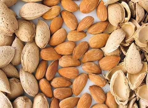 تصویر 3 از بادام درختی همدان گونه بومی ممتاز