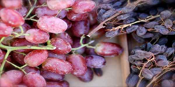 تصویر 4 از کشمش آفتابی با رنگ طبیعی تیره