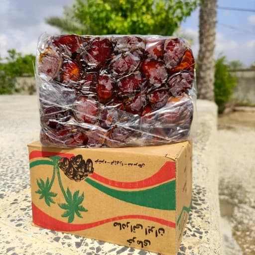 تصویر 1 از خرما کبکاب با رطوبت استاندارد مناسب نگهداری طولانی