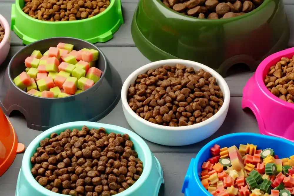 غذا گربه با ترکیب طبیعی و بدون مواد شیمیایی