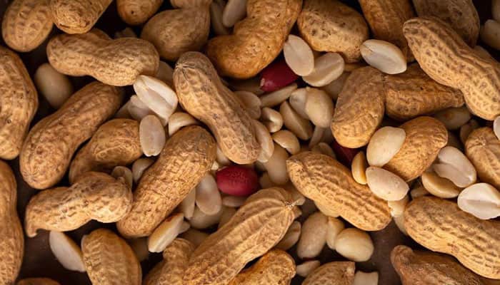 تصویر 2 از بادام زمینی شمال با طعم بی‌ نظیر طبیعی