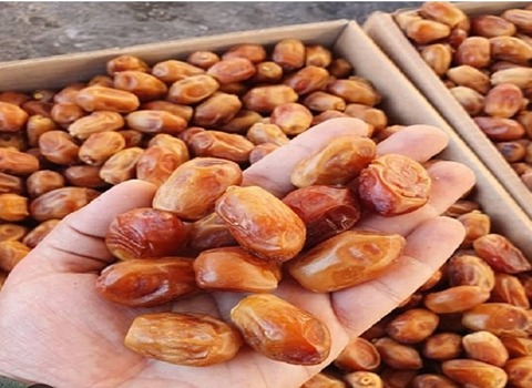 تصویر 1 از خرما زاهدی گرمسیر ایران منبعی عالی انرژی