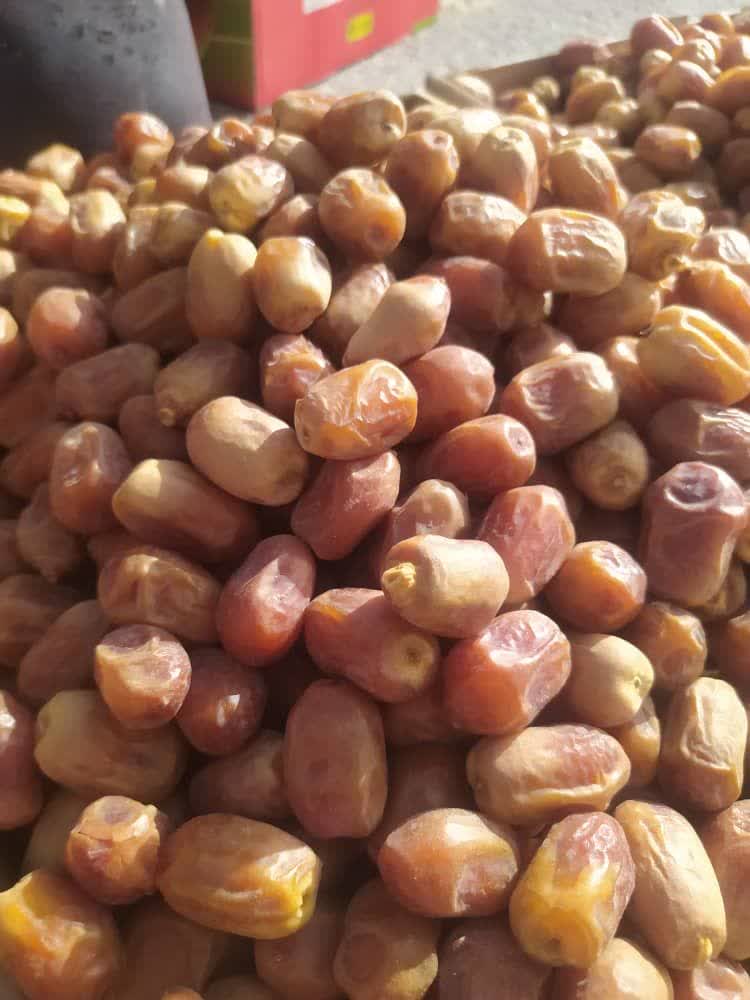 تصویر 5 از خرما زاهدی درجه یک خشک بهترین کیفیت داخلی صادراتی قیمت مناسب