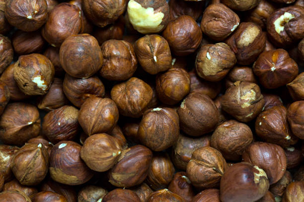 تصویر 2 از فندق بو داده بدون روغن با طعم ماندگار
