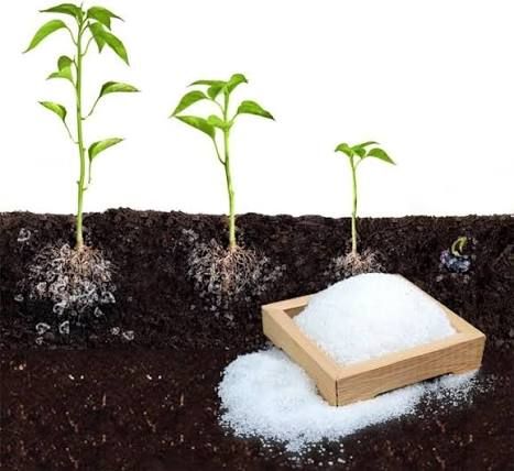 خرید خاک ژله‌ای بسته ۳ کیلویی مخصوص گلدان