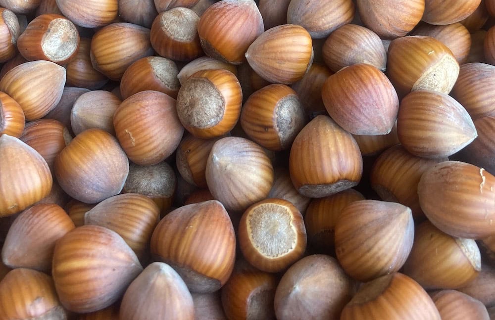 تصویر 2 از فندق بو داده با طعم طبیعی و دلپذیر