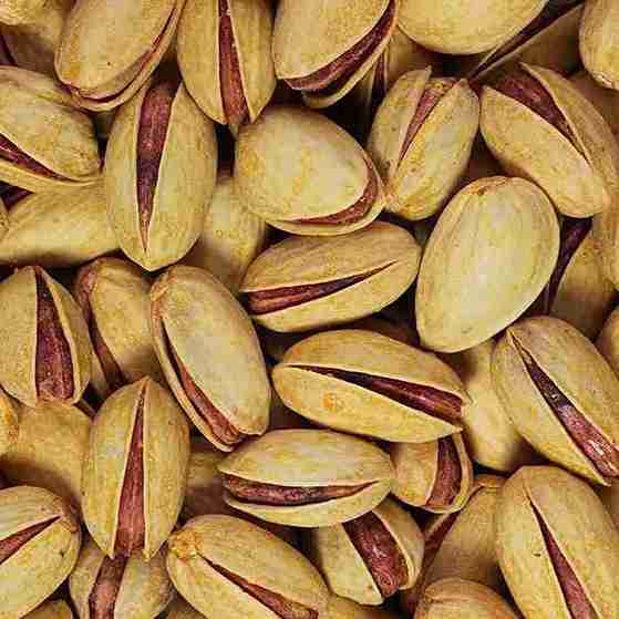 پسته اکبری درجه یک زعفرانی با طعم متفاوت و دلپذیر
