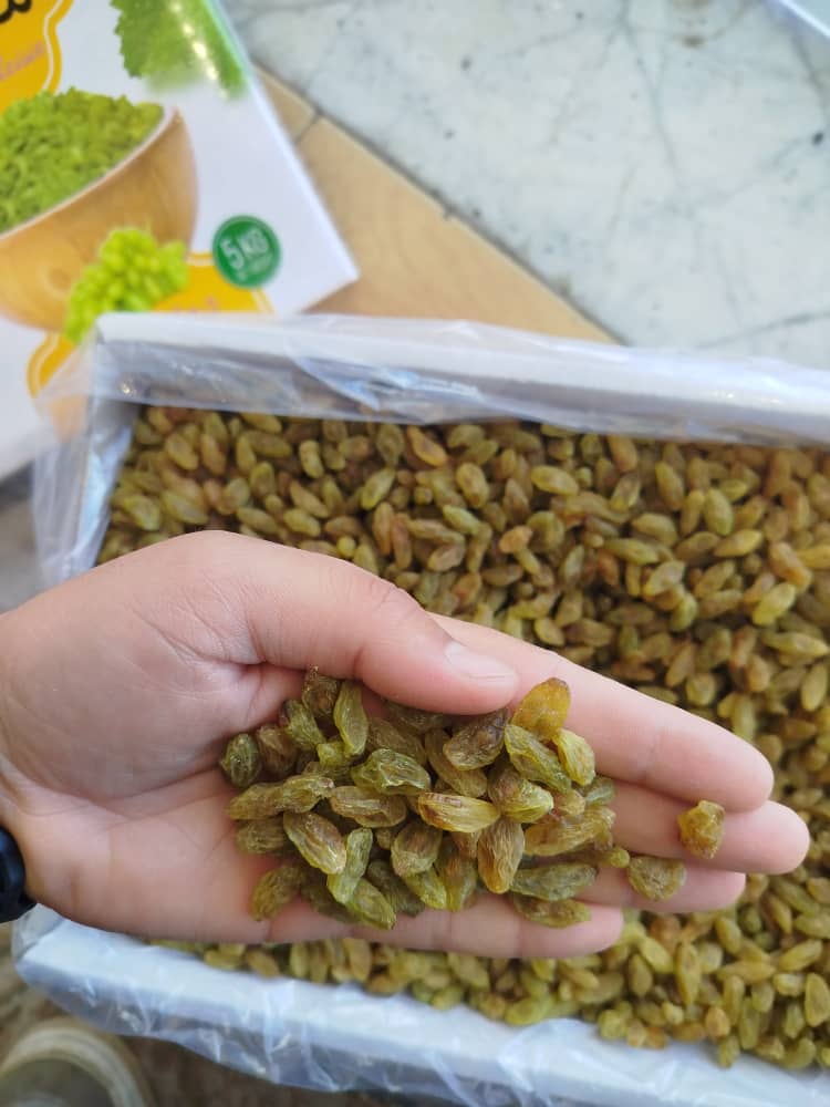 تصویر 1 از فروش بی نظیر کشمش سبز قلمی کاشمر صادراتی