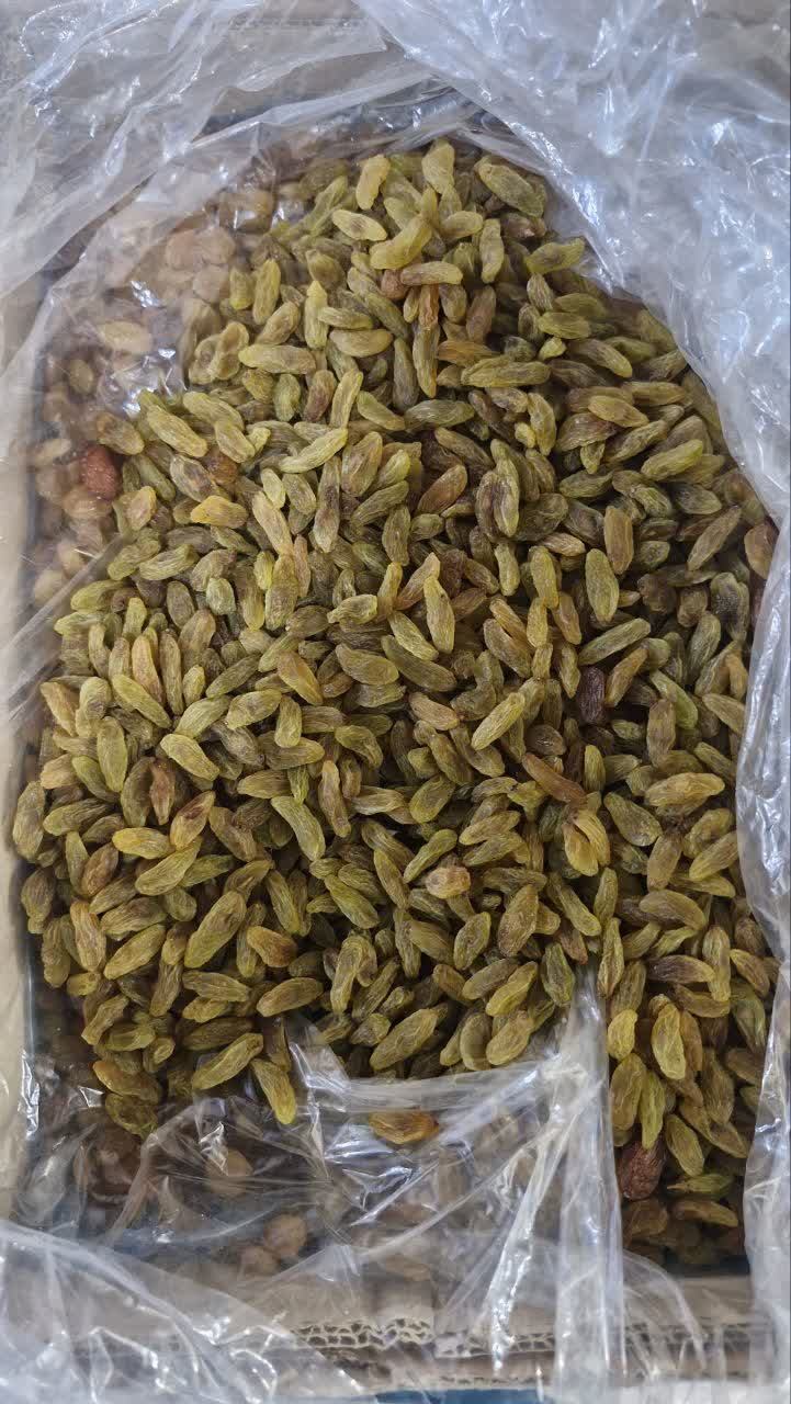 تصویر 3 از فروش عمده کشمش سبز قلمی کاشمر صادراتی
