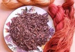 تصویر 2 از روناس ریشه ای با کیفیت مطلوب و رنگدهی بالا