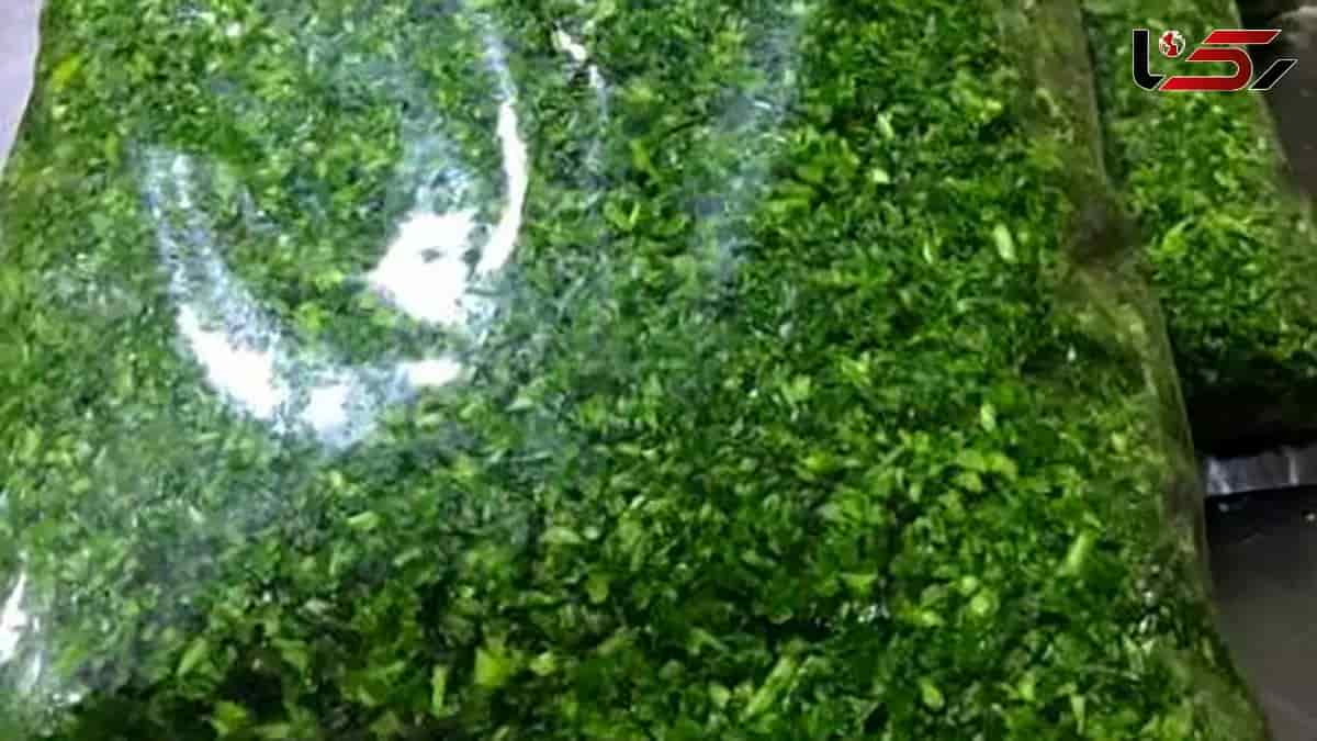تصویر 1 از سبزی پخته شده دستگاهی مرغوب به صرفه برای همه مصرف کنندگان