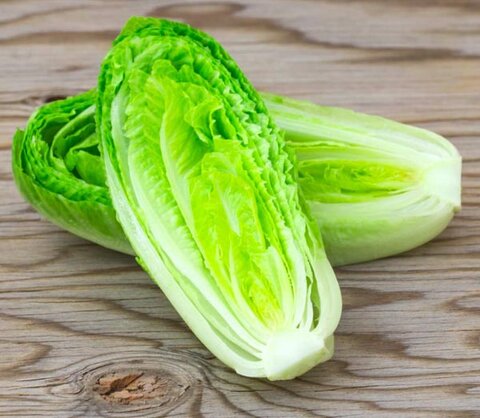 کاهو تهیه شده از بذور اصلاح شده با کیفیت