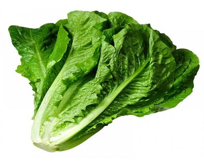کاهو