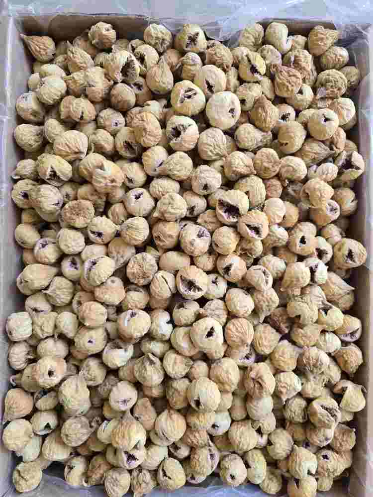 تصویر 1 از انجیر خشک صد یک صادراتی