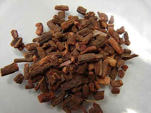 فروش گیاه دارویی