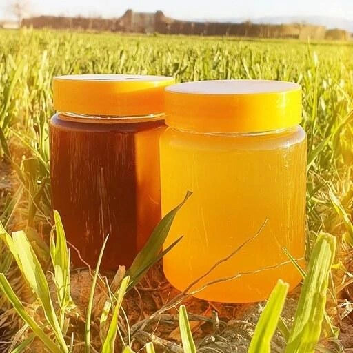 فروش عسل چهل گیاه خوانسار با تازگی بالا و کیفیت ممتاز مناسب خریداران عمده و جزئی