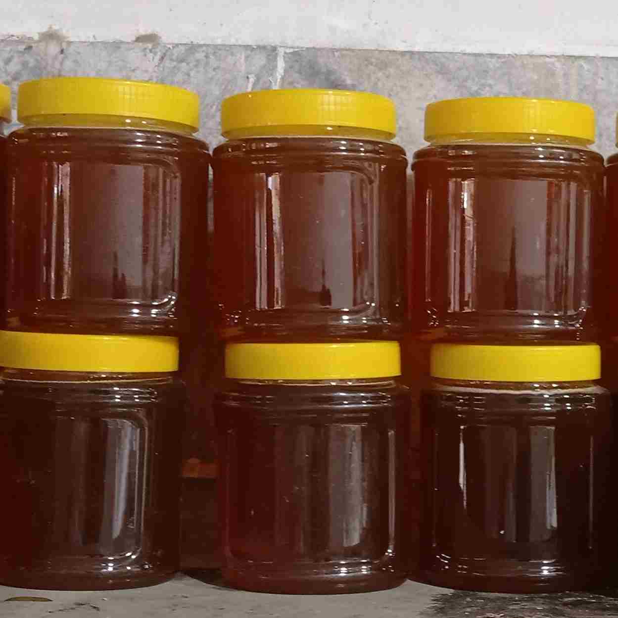 تصویر 4 از عسل چهل گیاه کردستان با طعم ماندگار و رایحه طبیعی انتخابی مناسب برای علاقه مندان به محصولات سالم