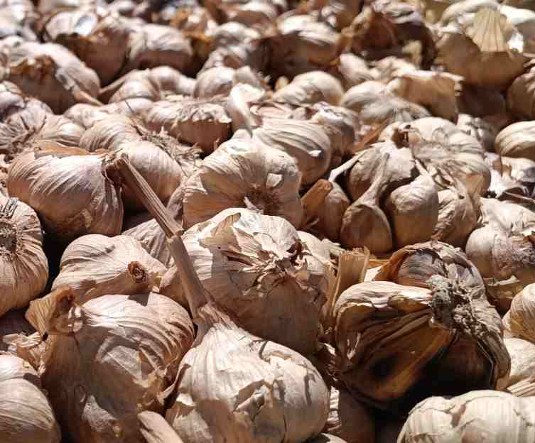 تصویر 4 از سیر سیاه همدان با کیفیت یکنواخت و بسته بندی استاندارد