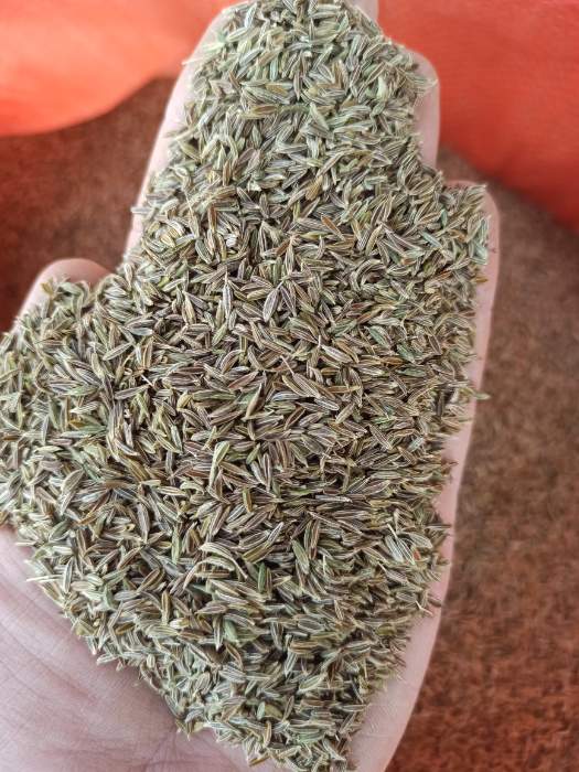 تصویر 4 از زیره سبز درجه یک با عطر بسیار قوی و کیفیت عالی