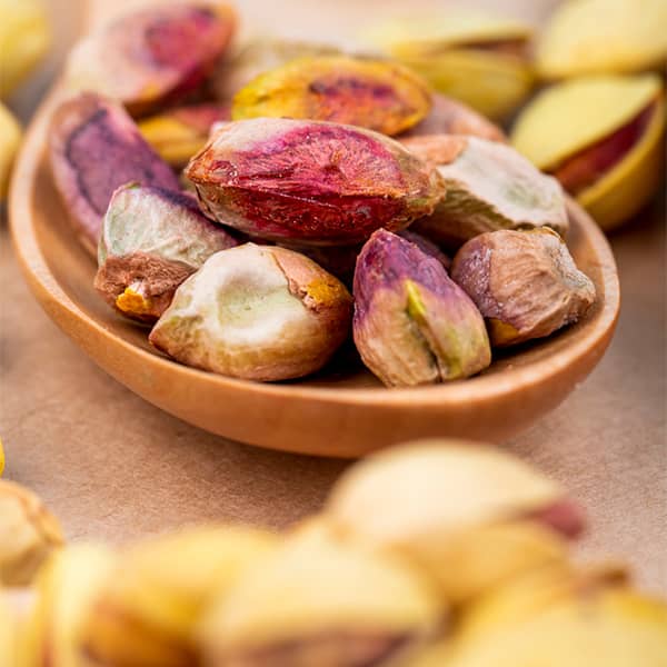 فروش پسته تازه