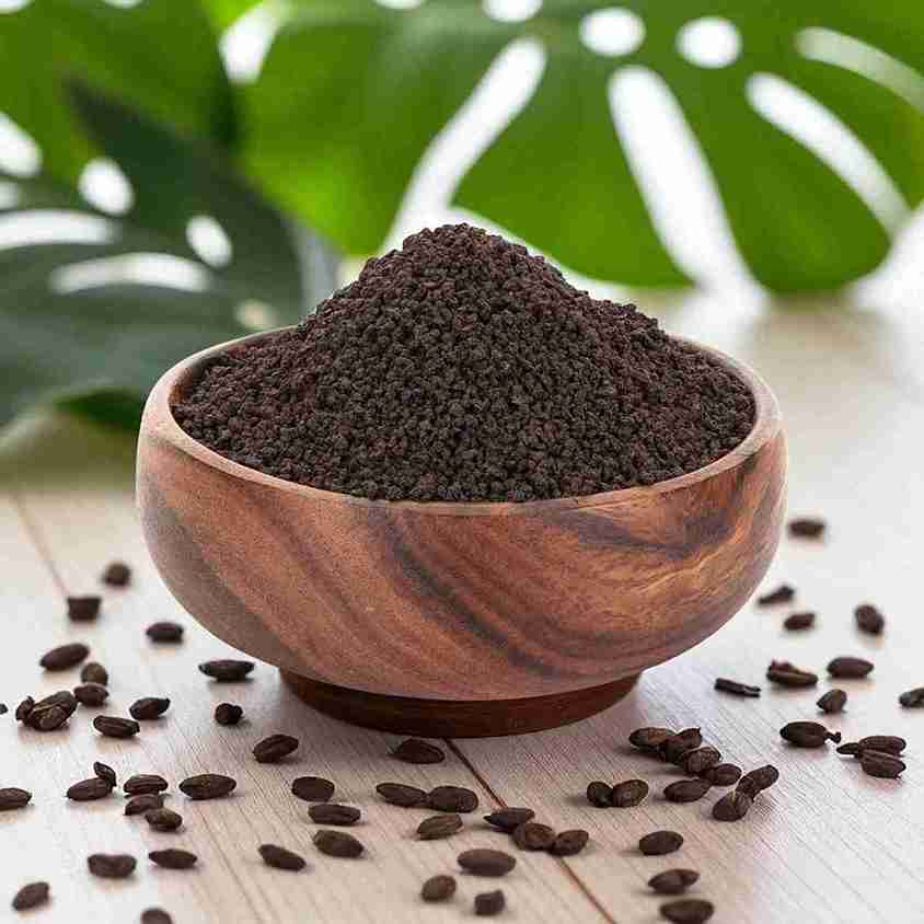 چای کله مورچه‌ای کنیا با طعم خالص و طبیعی