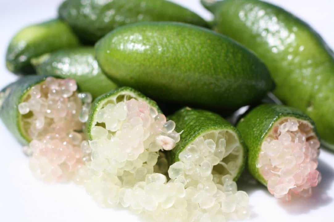 تصویر 4 از لیمو ترش انگشتی با مروارید های طبیعی مرکبات