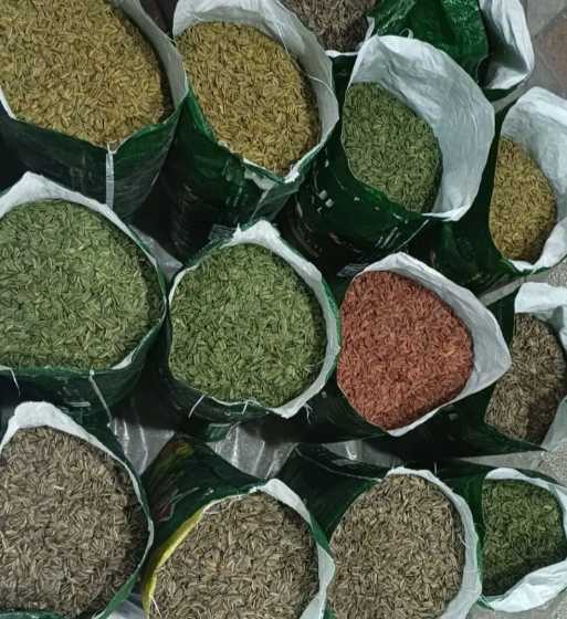 خرید ارزان و به صرفه تخمه آفتابگردان