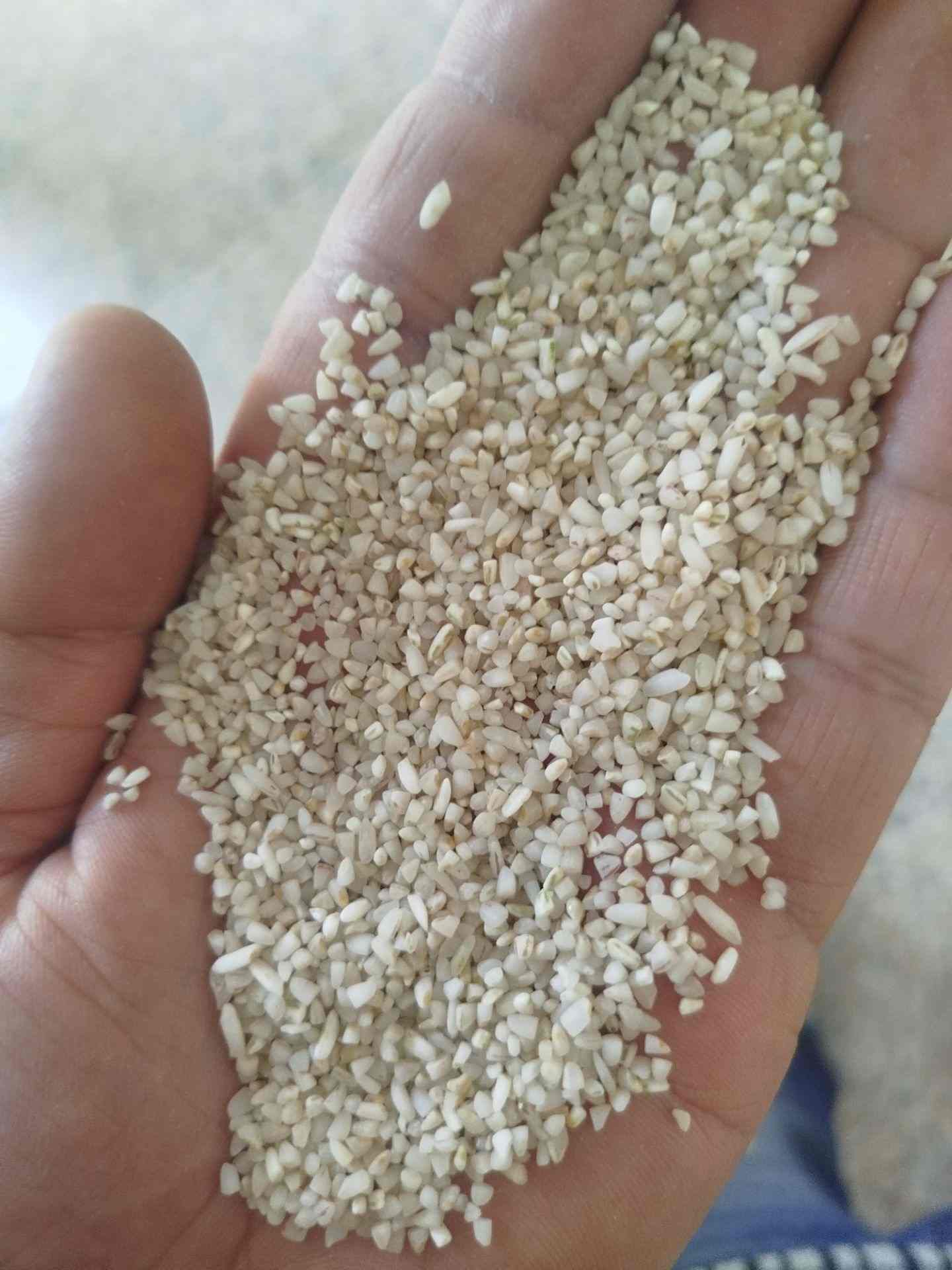 تصویر 1 از فروش عمده برنج نیم دانه عنبر بو با ارسال سریع