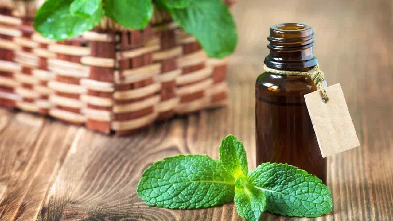 عرق نعنا شیشه ای خالص دارای خواص گوارشی برای برطرف کردن نفخ معده