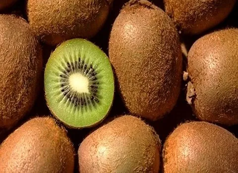 فروش کیوی هایوارد