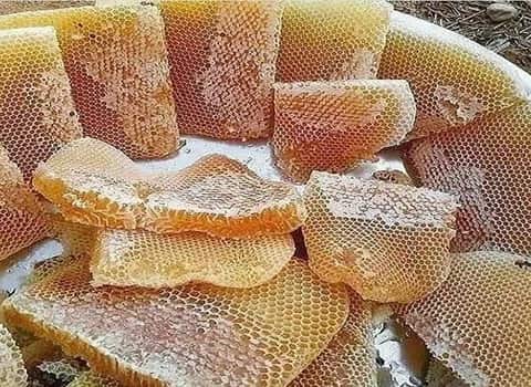 تصویر 3 از عسل کوهی اصل تهیه شده توسط زنبورها در مناطق مرتفع بکر طبیعی