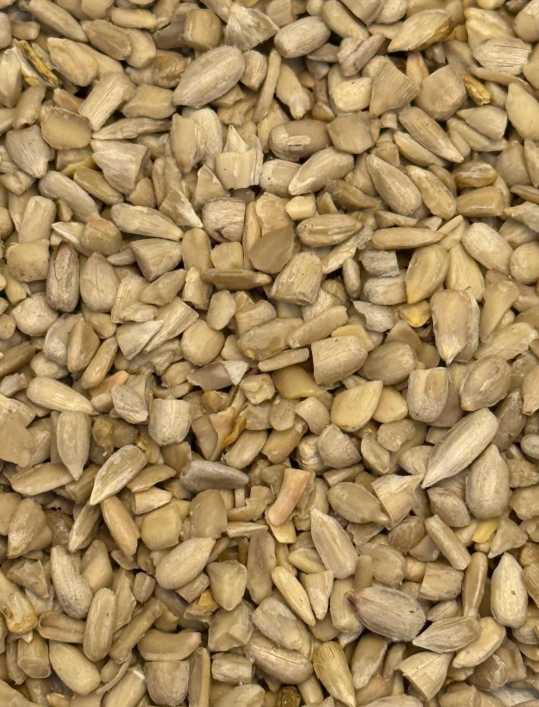 خرید مغز