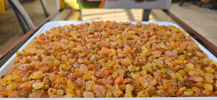 خرید کشمش طلایی