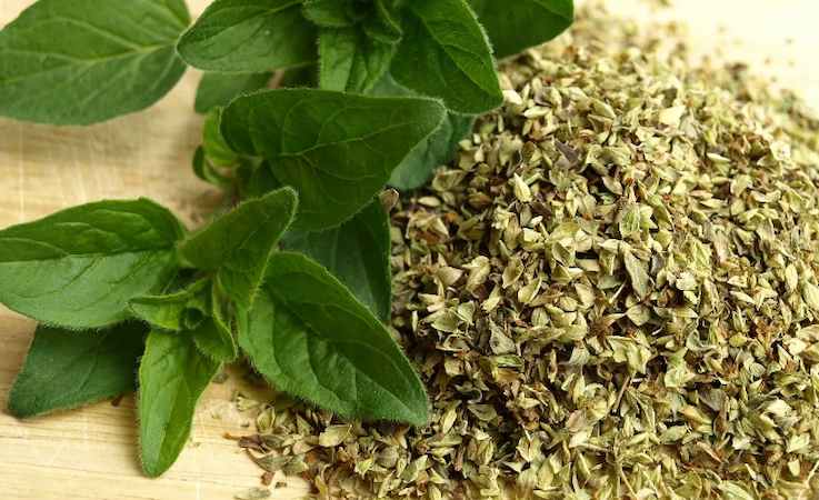 نعناع فلفلی خشک شده ارگانیک با عطر دلنشین و طعم عالی
