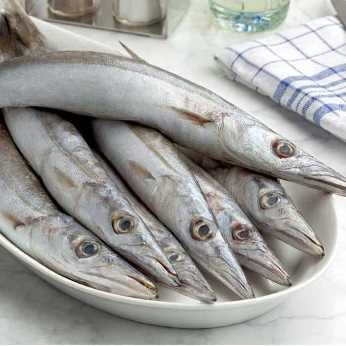 ماهی شیر سفید تازه جنوب با گوشت لذیذ و سرشار از مواد مغذی