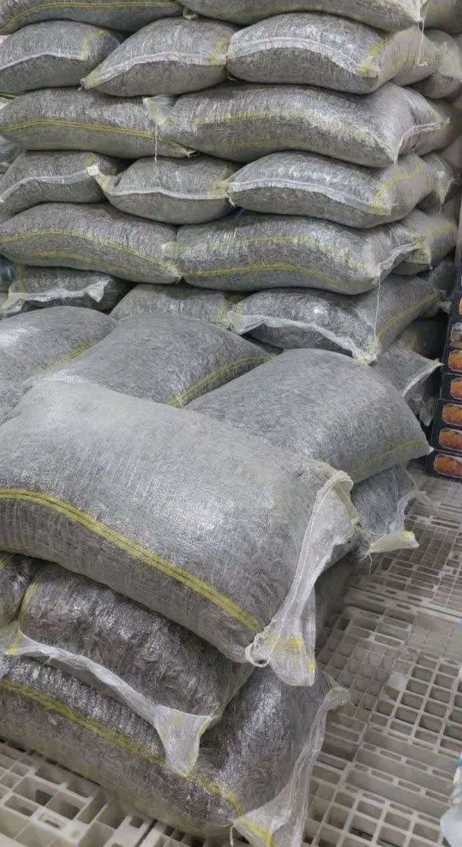 فروش تخمه شمشیری