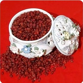 فروش زرشک اناری