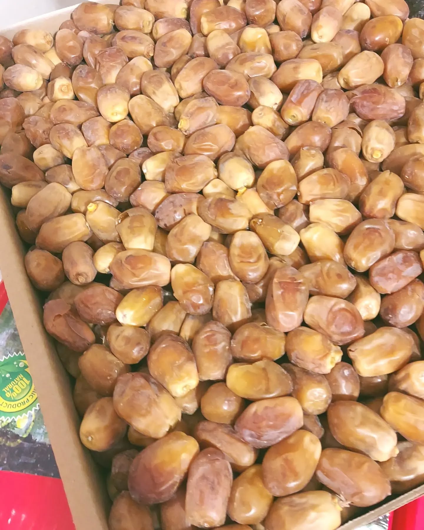 خرما زاهدی معرفی تخصصی یکی از مهم‌ترین خرماهای صادراتی ایران