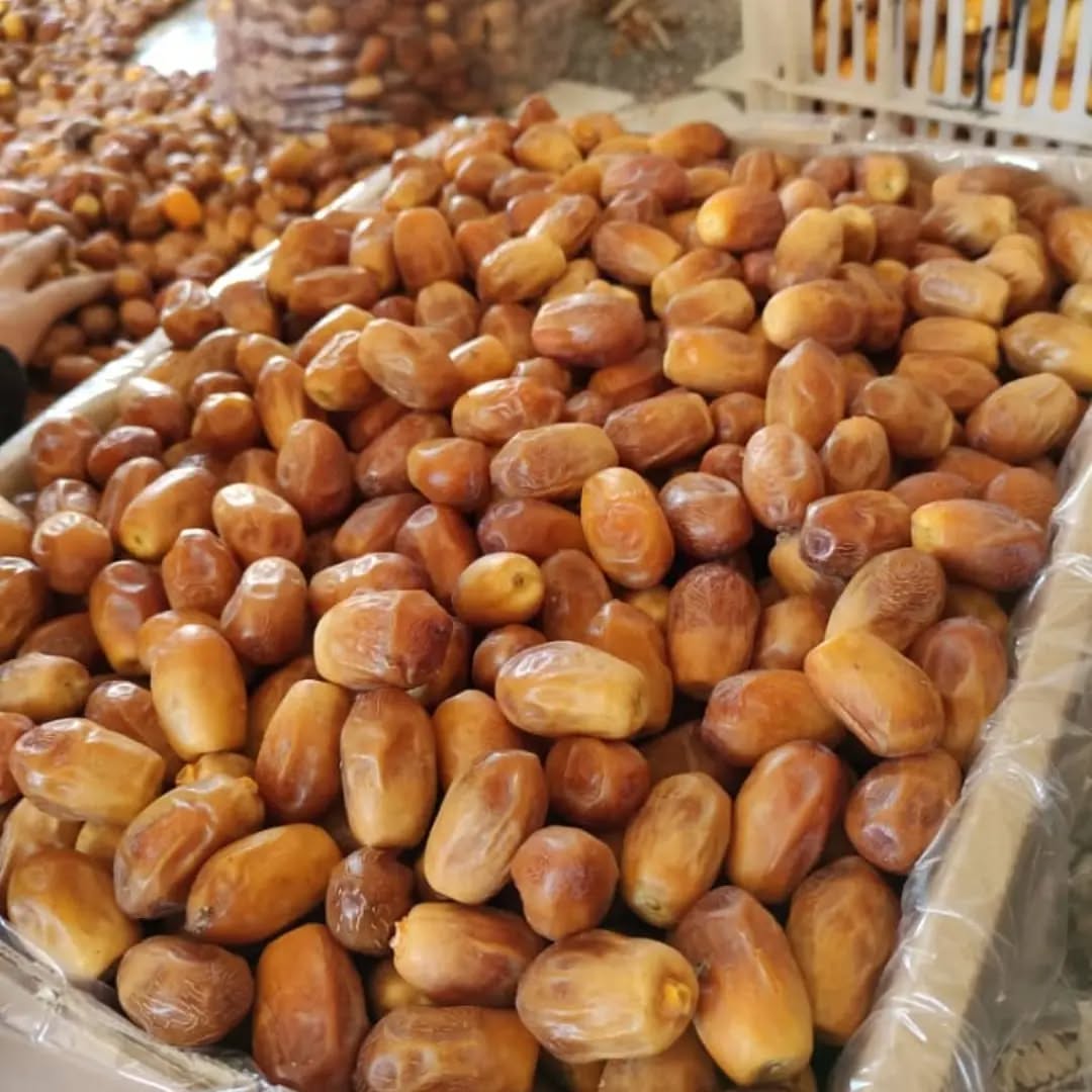 خرما زاهدی و نقش آن در تجارت جهانی خرما