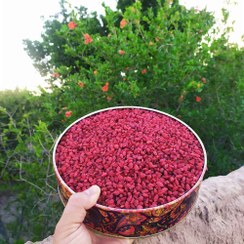 تصویر 3 از زرشک قائنات با طعم اصیل و ماندگاری بالا