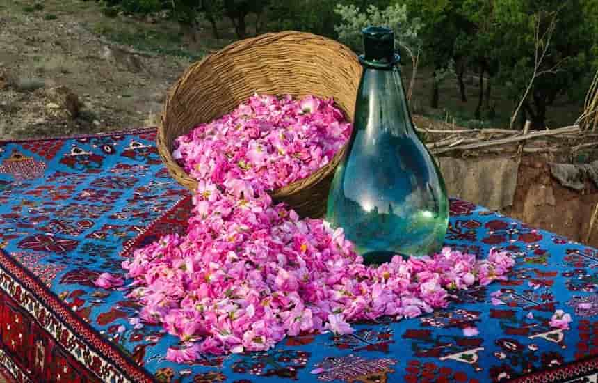 فروش گلاب اصل