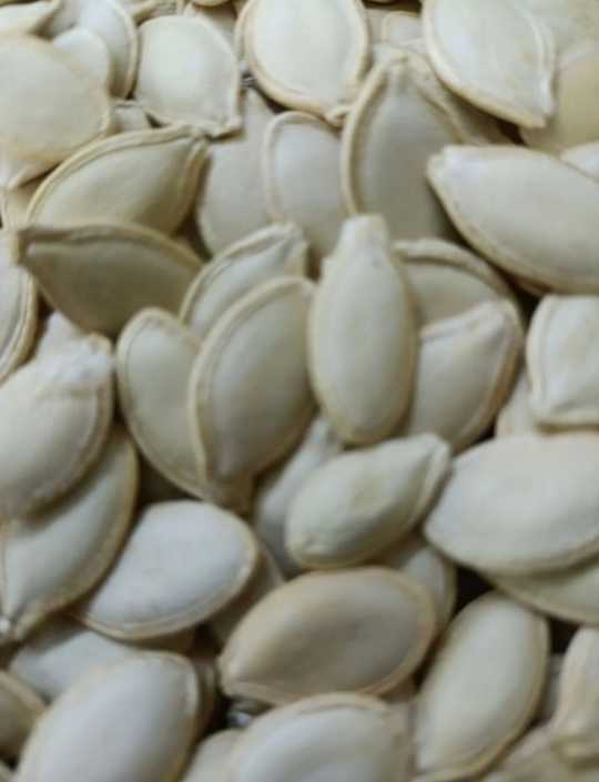 قیمت تخمه کدو