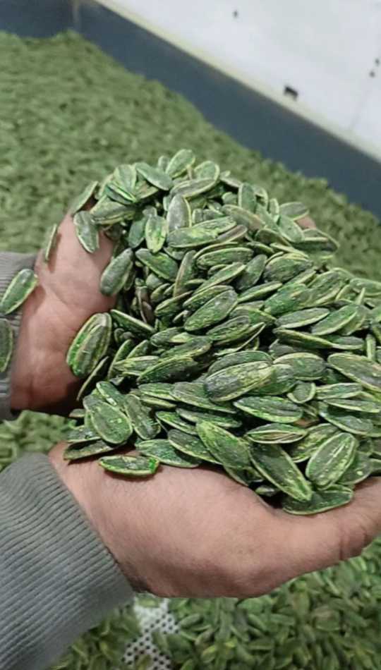 خرید تخمه آفتابگردان با طعم سفارشی