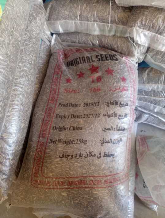 فروش تخمه آفتابگردان